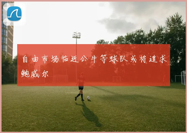 自由市场临近公牛等球队或将追求鲍威尔