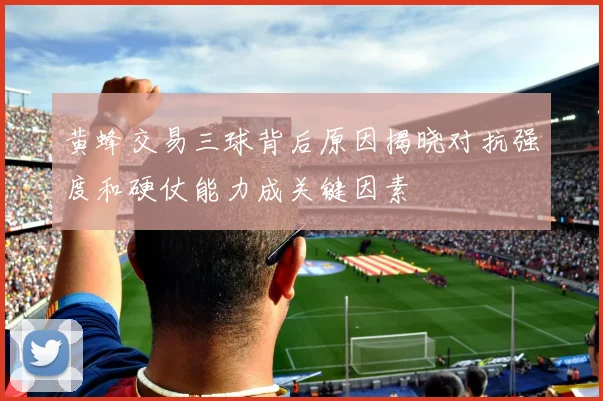 黄蜂交易三球背后原因揭晓对抗强度和硬仗能力成关键因素